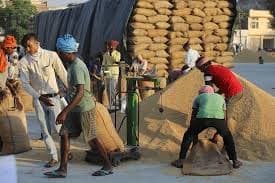 MandiGuru Crop Gallery